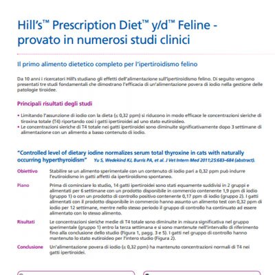 Guarda gli ultimi video dal nostro archivio