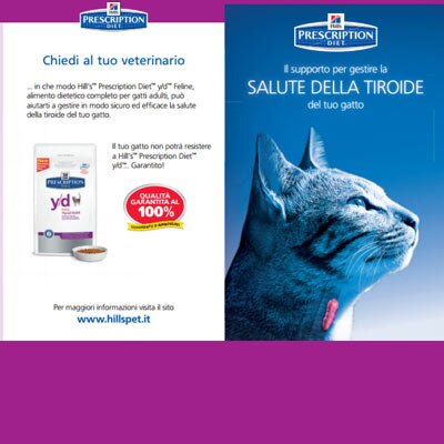 Il supporto per gestire la SALUTE DELLA TIROIDE del tuo gatto