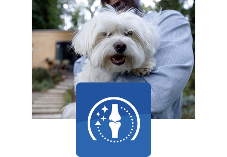 cane bianco felice con una persona