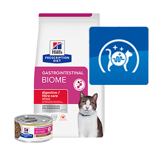 Una persona coccola il suo gatto che guarda fuori dalla finestra.