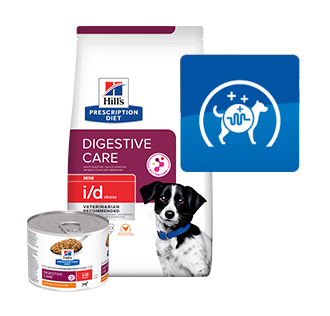 Una persona coccola il suo cagnolino.